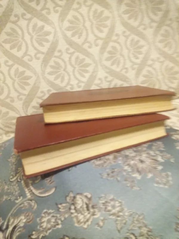 Išmoningasis Idalgas Don Kichotas iš La Mančios - I tomas - Migelis Servantesas, knyga 5