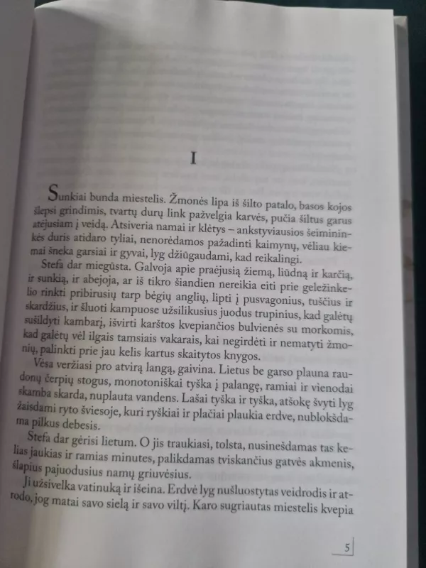 Nebylios spalvos - Algimantas Kaminskas, knyga 3