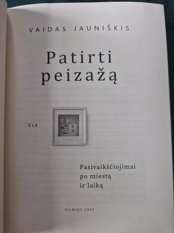 Patirti peizažą - Vaidas Jauniškis, knyga 4