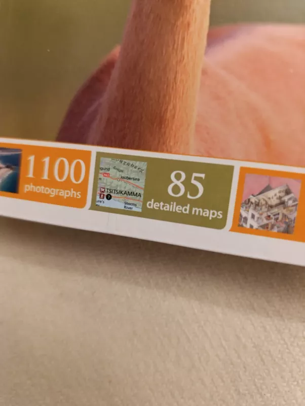 DK Eyewitness travel guide South Africa - DK Eyewitness, knyga 5