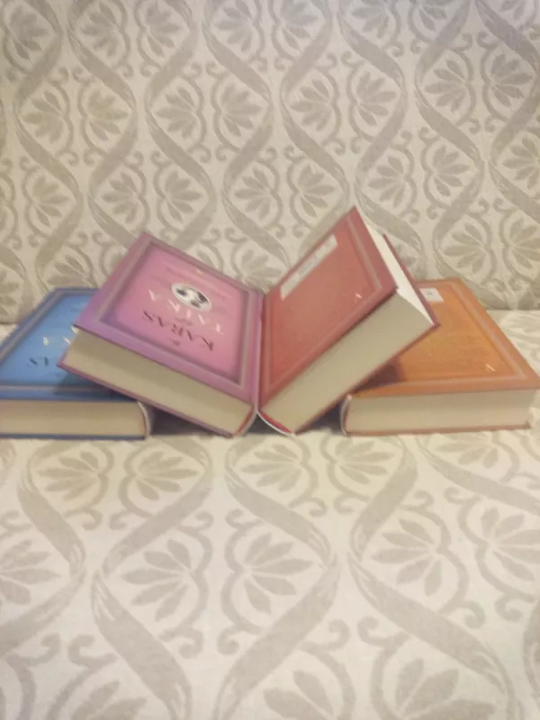 Karas ir taika - Lev Tolstoj, knyga 5