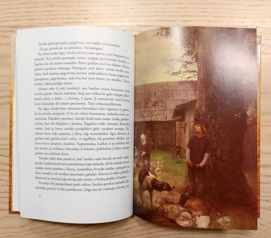 Šarangė varangė - Romas Sadauskas, knyga 5