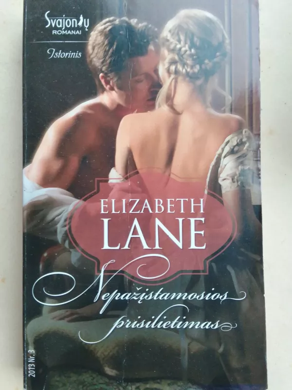 Nepažįstamosios prisilietimas - Elizabeth Lane, knyga 2