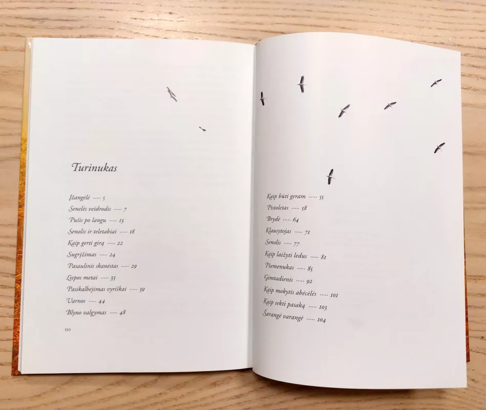 Šarangė varangė - Romas Sadauskas, knyga 6