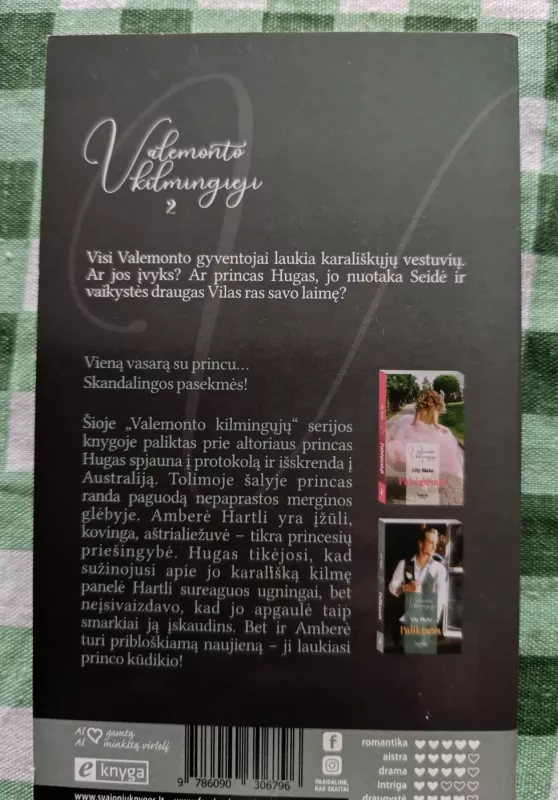 Valemonto kilmingieji - Ally Blake, knyga 6