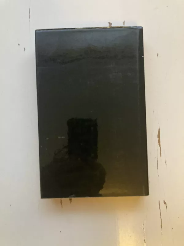 Vėlinės - Adomas Mickevičius, knyga 3