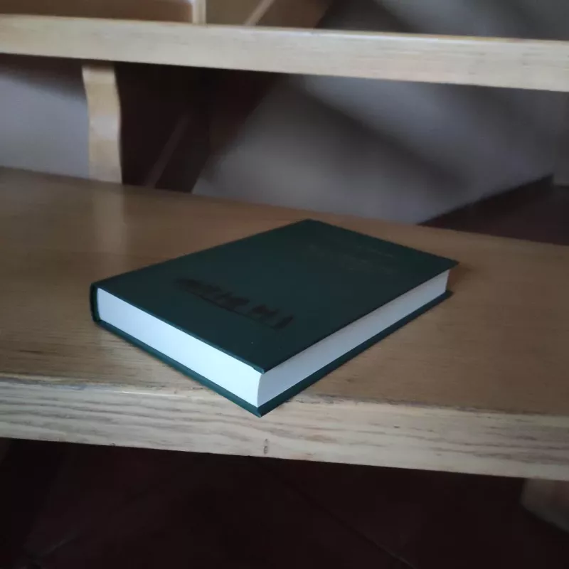 Vakarų fronte nieko naujo - Erich Maria Remarque, knyga 6