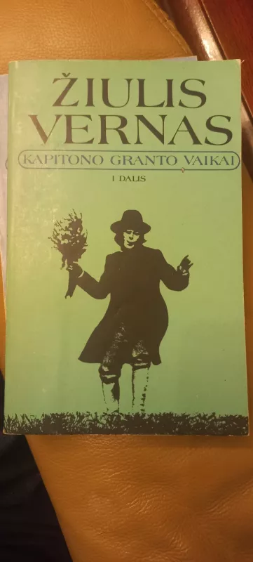 Kapitono Granto vaikai. I d. - Žiulis Vernas, knyga 2