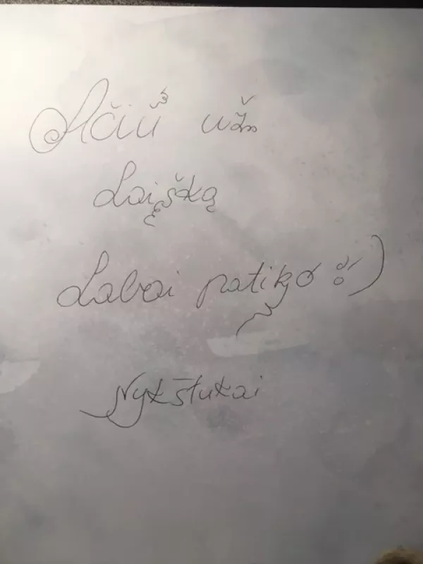 SNIEGO SESĖ: sniego ir paslapčių kupina istorija, kuri pripildys jūsų namus kalėdinės nuotaikos - Maja Lunde, knyga 3