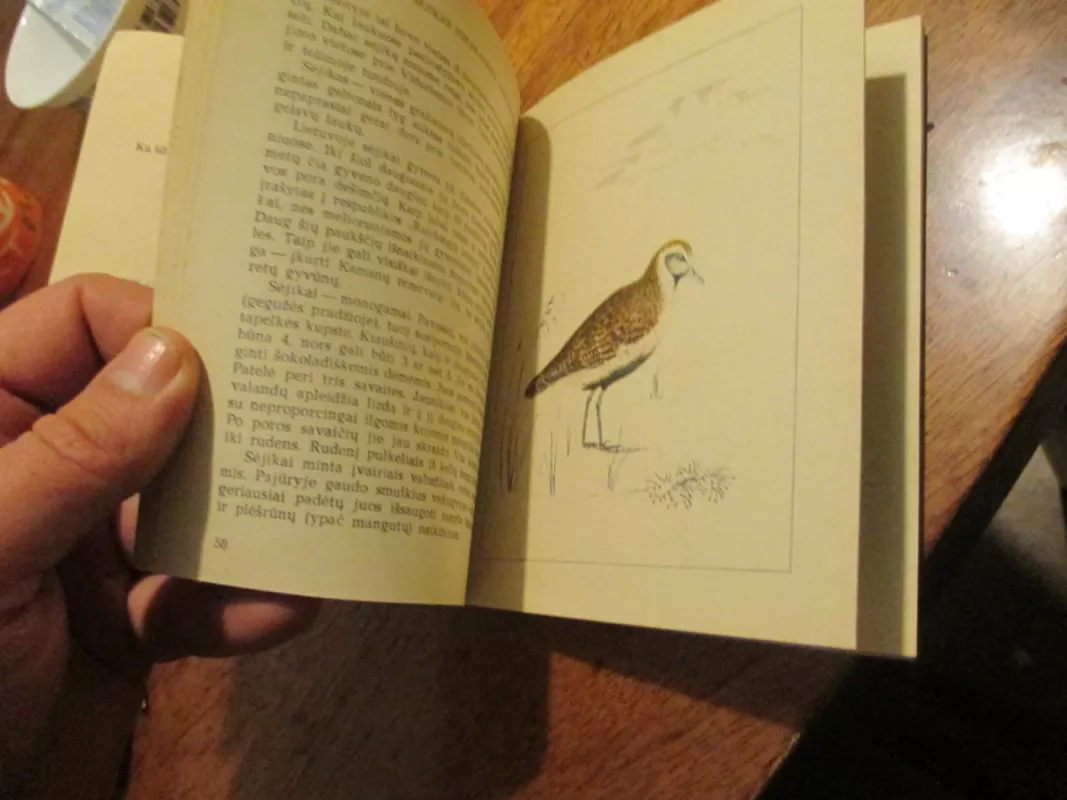 Jie neturi išnykti - Ričardas Kazlauskas, knyga 5