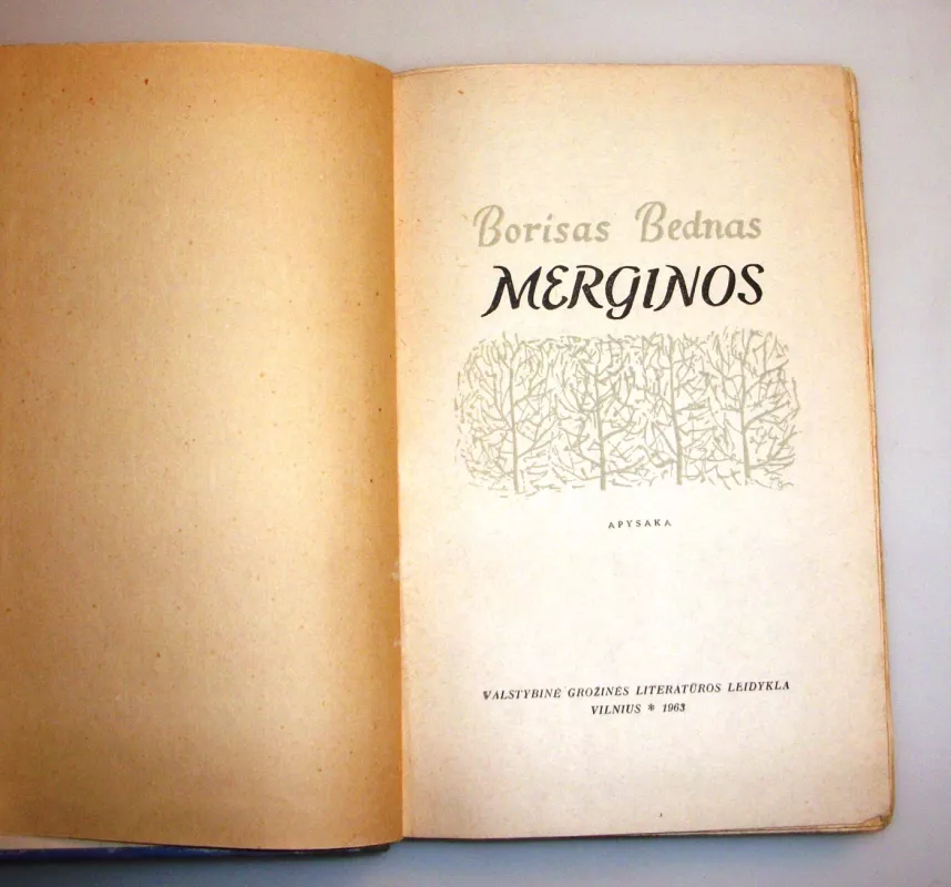 Merginos - Borisas Bednas, knyga 5