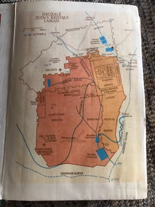 Naujasis Testamentas - Vaclovas Aliulis, knyga 4