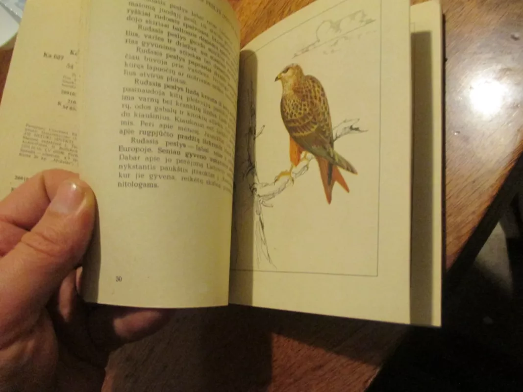 Jie neturi išnykti - Ričardas Kazlauskas, knyga 3