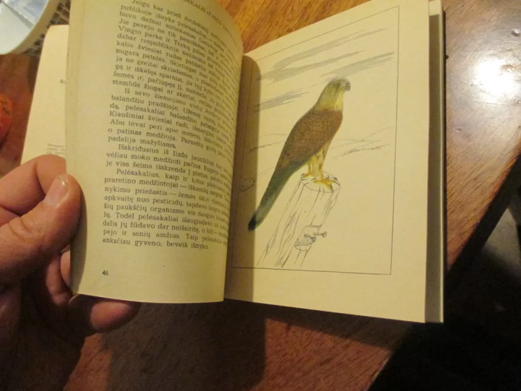 Jie neturi išnykti - Ričardas Kazlauskas, knyga 4