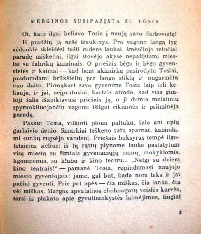 Merginos - Borisas Bednas, knyga 6