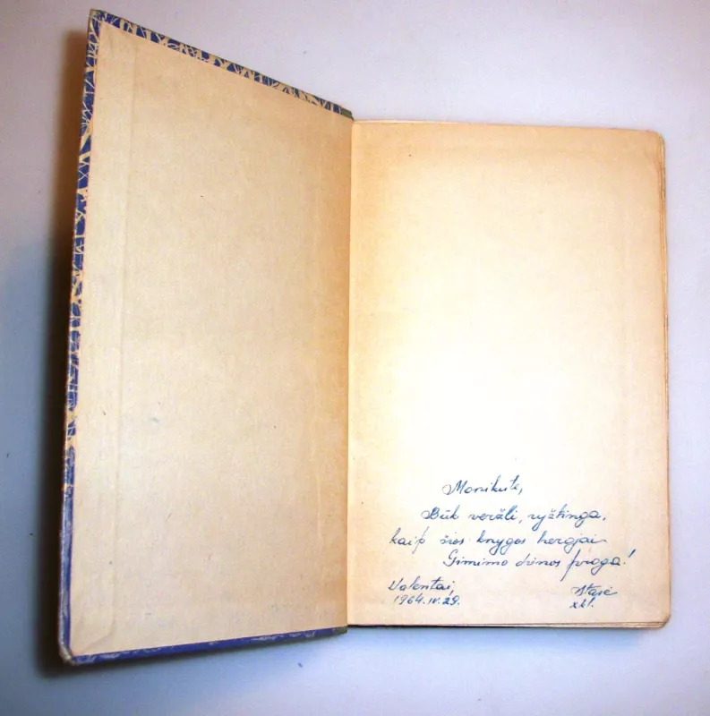 Merginos - Borisas Bednas, knyga 4