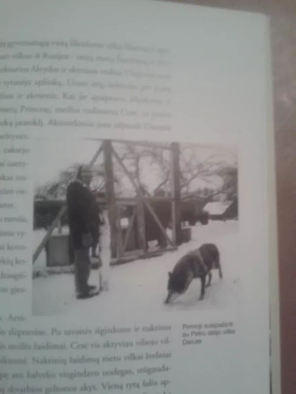 Vilkų paviliotas - Grudzinskas L., knyga 5