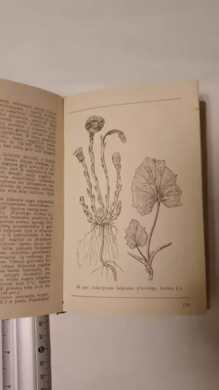 Piktžolės ir herbicidai - J. Monstvilaitė, knyga 4