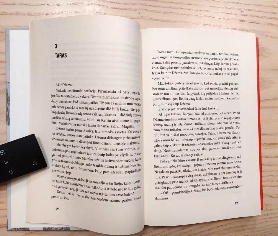 Heroinas - Melvin Burgess, knyga 6