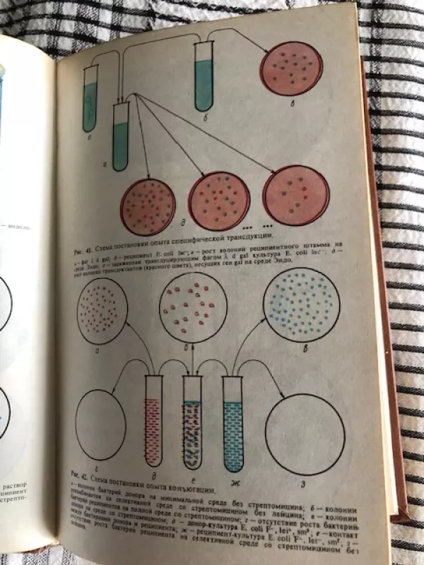Mikrobiologijos laboratorinių darbų vadovas (rusų k) - Autorių Kolektyvas, knyga 4