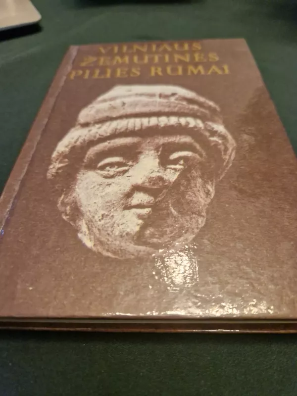 Vilniaus žemutinės pilies rūmai - Autorių Kolektyvas, knyga 2