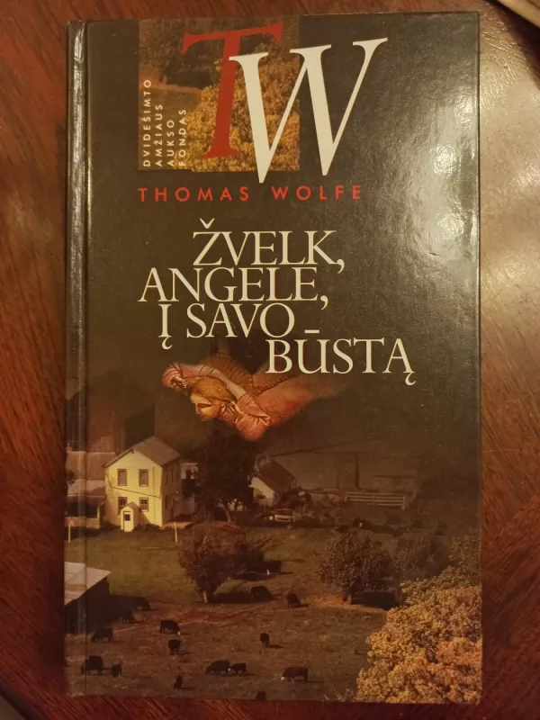 Žvelk, angele, į savo būstą - Thomas Wolf, knyga 2