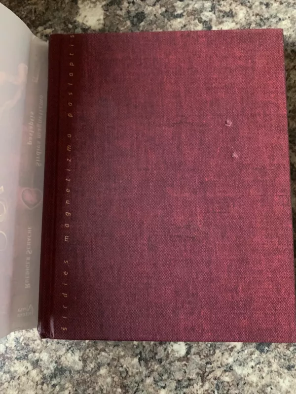 Širdies magnetizmo paslaptis - Reudiger Schache, knyga 4