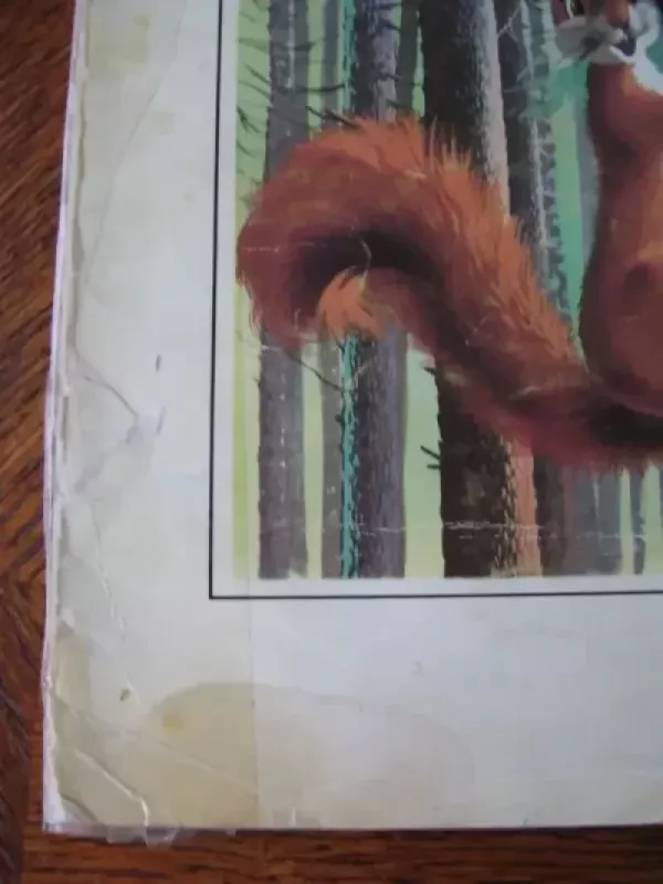 Padauža voveriukas Pilkis Pilkutis - Madlena Rajon, Filipas  Salambjė, knyga 3