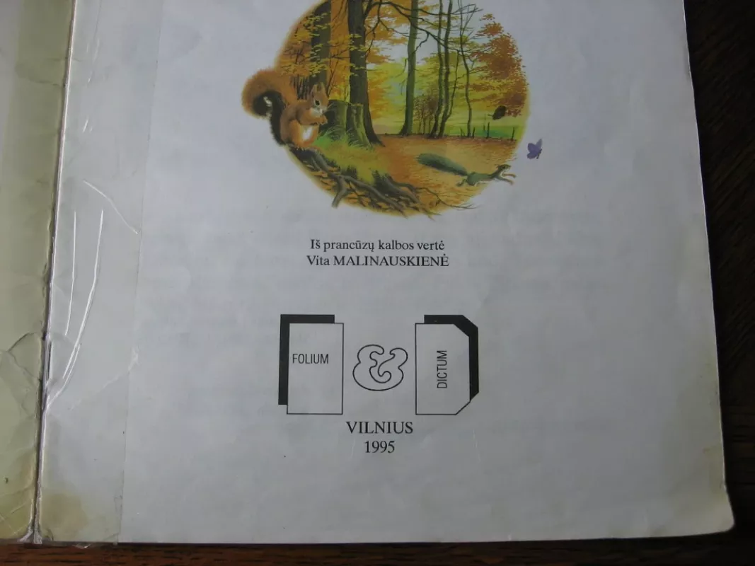 Padauža voveriukas Pilkis Pilkutis - Madlena Rajon, Filipas  Salambjė, knyga 5