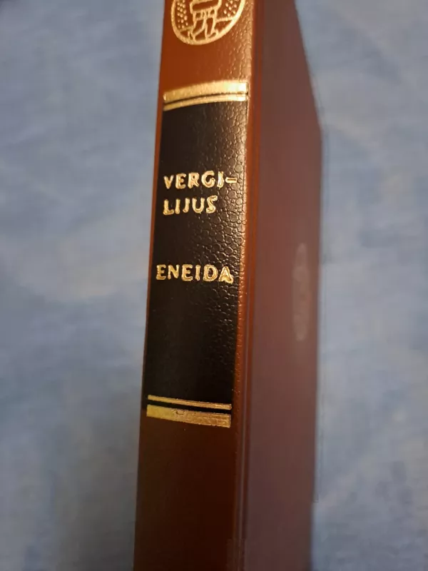 Eneida - Vergilijus, knyga 2