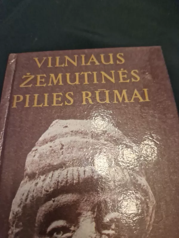 Vilniaus žemutinės pilies rūmai - Autorių Kolektyvas, knyga 3