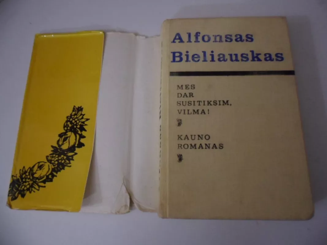 Mes dar susitiksim Vilma! Kauno romanas - Alfonsas Bieliauskas, knyga 3