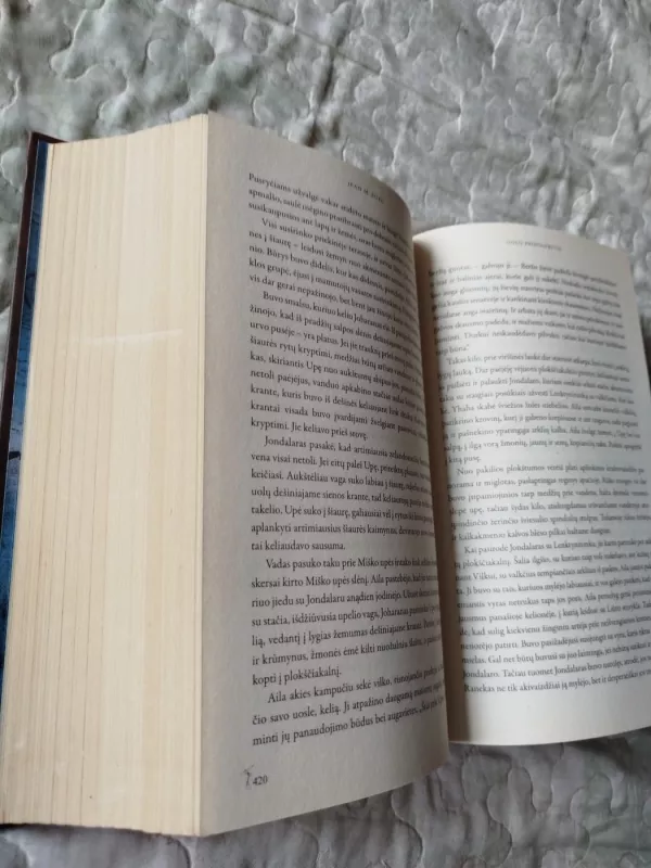 PIRMYKŠTĖ MOTERIS. Uolų prieglobstis - Jean M. Auel, knyga 4