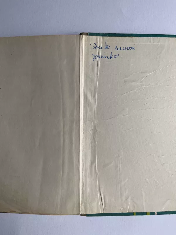 Skaitiniai V klasei - J. Čenienė, knyga 3