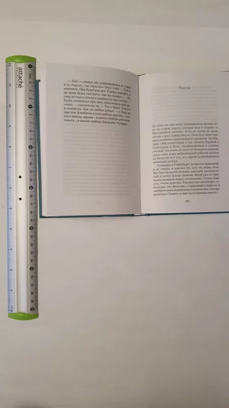 Winesburg Ohio - Sherwood Anderson, knyga 4
