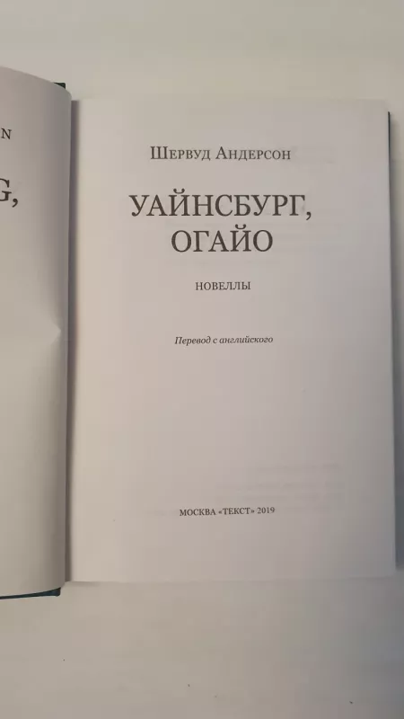 Winesburg Ohio - Sherwood Anderson, knyga 3