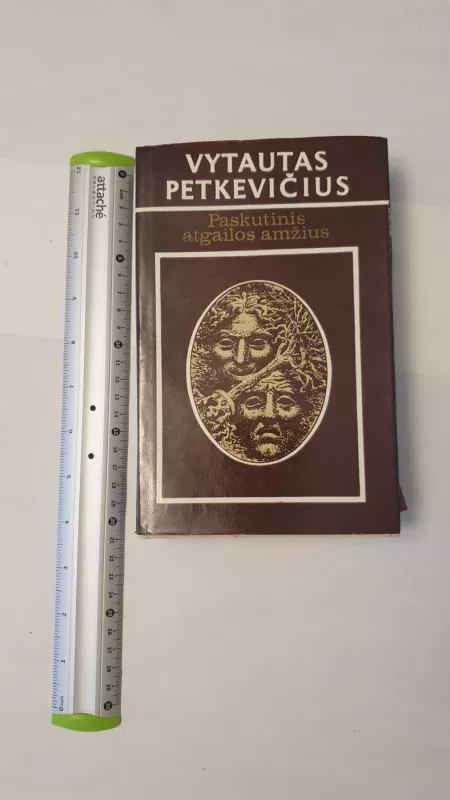 Paskutinis atgailos amžius - Vytautas Petkevičius, knyga 2