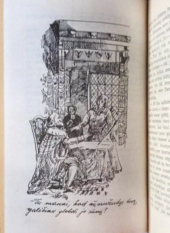 Juodoji strėlė - R. Stivensonas, knyga 4