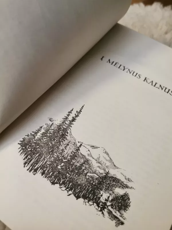 Per kalnus, snaudžiančias girias - R. Budrys, knyga 4