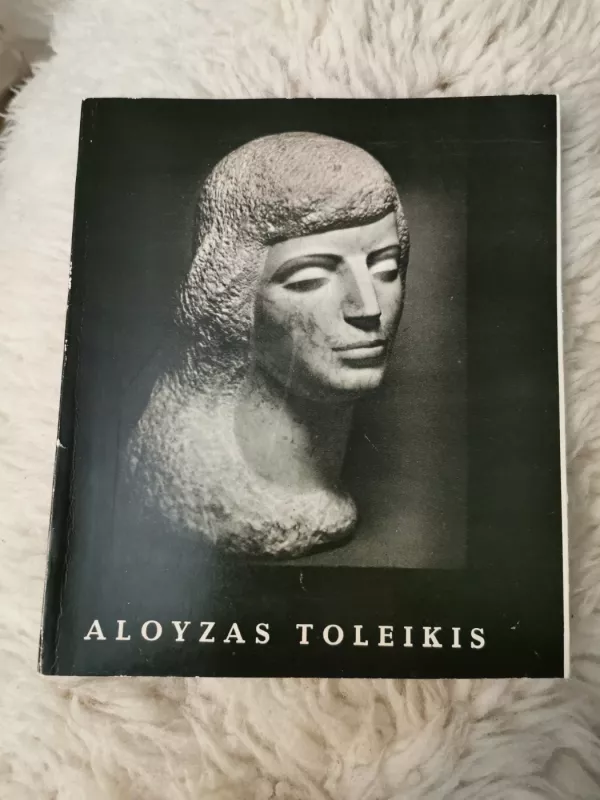 Aloyzas Toleikis - Vytenis Rimkus, knyga 2