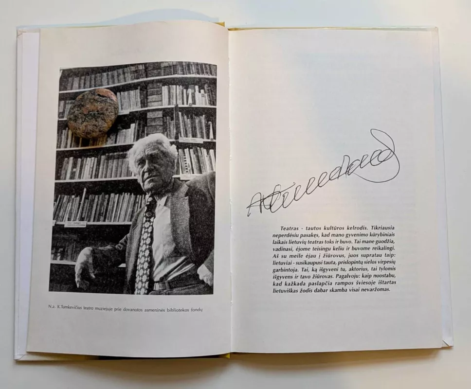 Gyvenimo vingiuose, II dalis. - Birutė Činikaitė-Vaičiulevičienė, knyga 4