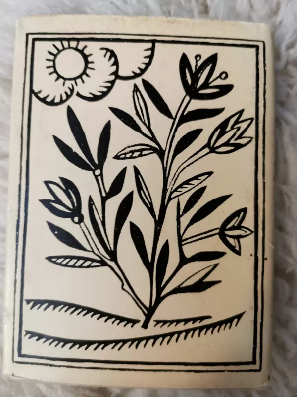 Poezija - Antanas Strazdas, knyga 4