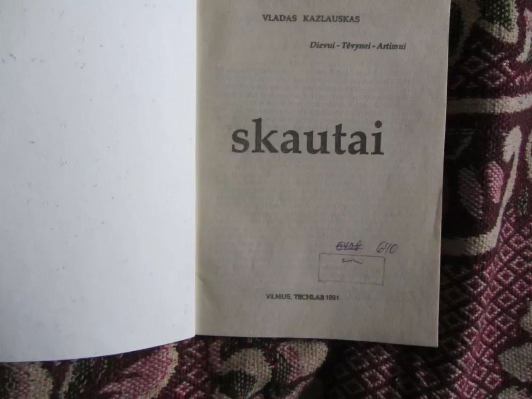 Skautai - Vladas Kazlauskas, knyga 3