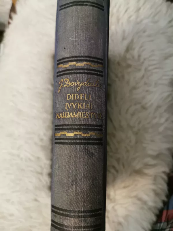 Dideli įvykiai Naujamiestyje - Jonas Dovydaitis, knyga 4