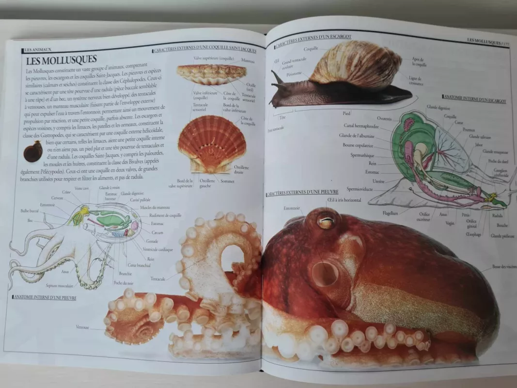 VU: Dictionnaire visuel pour tous - Gilles Theureau, knyga 4