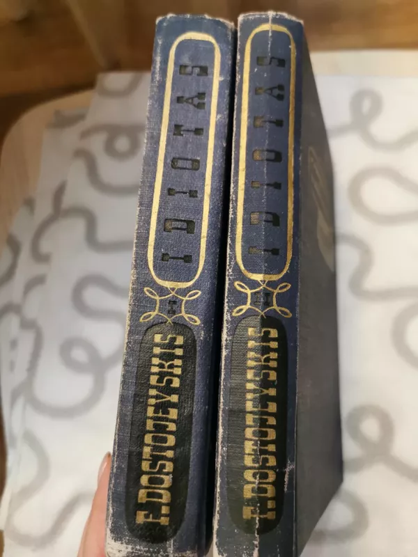 Idiotas (2 knygos) - Fiodoras Dostojevskis, knyga 3