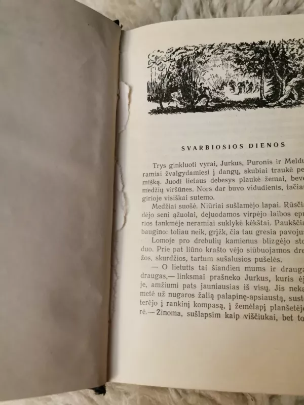 Dideli įvykiai Naujamiestyje - Jonas Dovydaitis, knyga 3