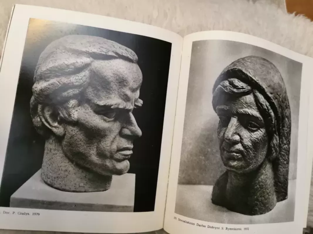 Aloyzas Toleikis - Vytenis Rimkus, knyga 3