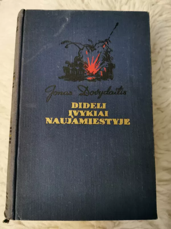 Dideli įvykiai Naujamiestyje - Jonas Dovydaitis, knyga 2