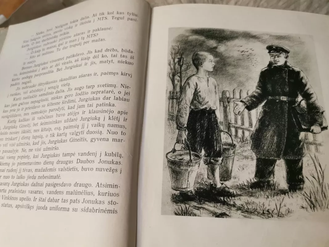 Laužai prie upės - Vladas Mozūriūnas, knyga 3